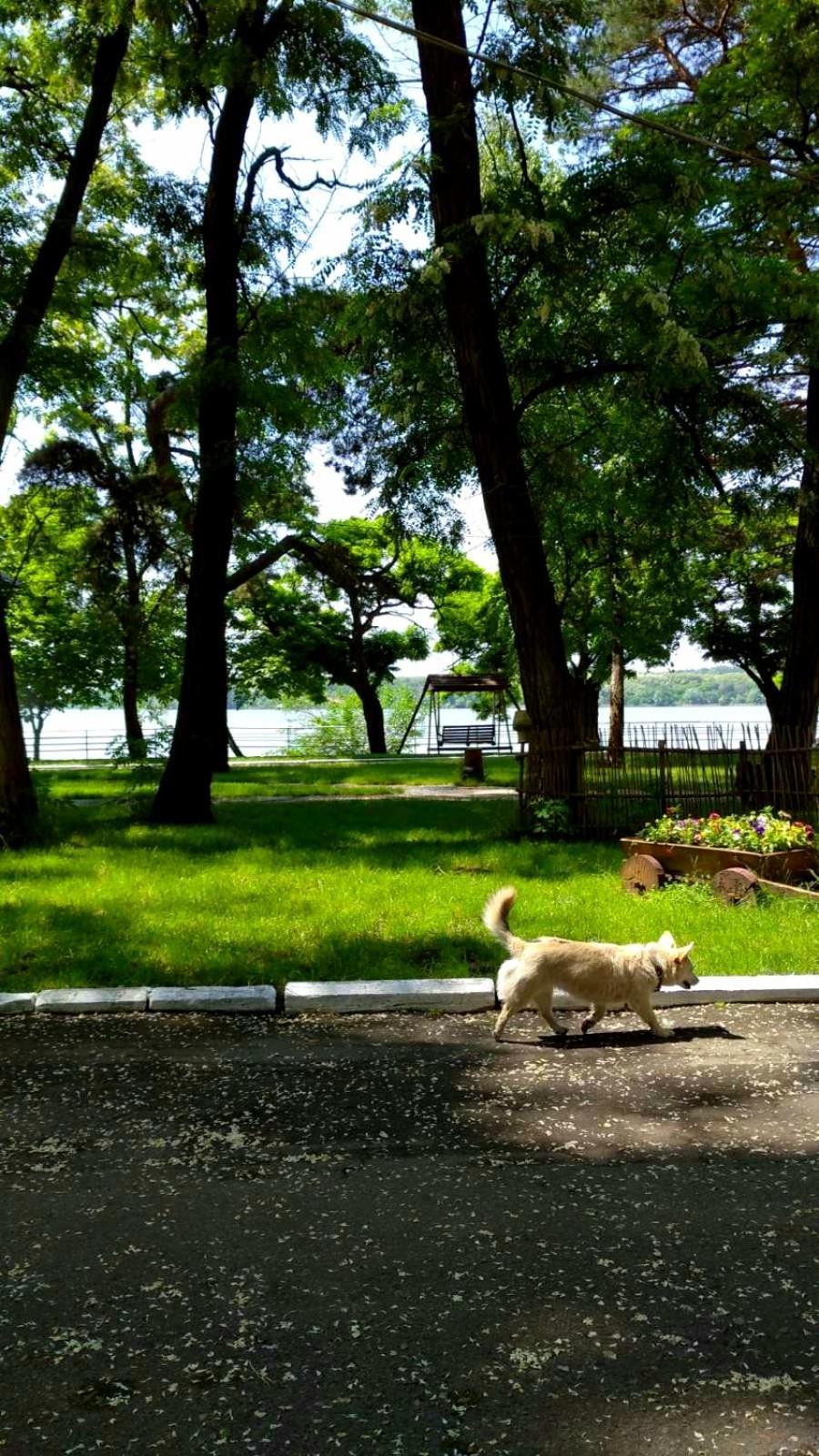 Volna Resort Svitlovodsʼk Zewnętrze zdjęcie